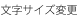 文字サイズ変更