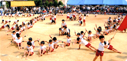 大阪市東成区｜今里｜聖美幼稚園｜運動会
