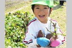 10月：秋の遠足 年中･年長 生駒農園 いもほり遠足